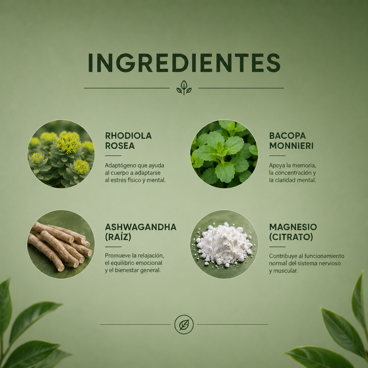 NEUROZEN™ | Tu aliado natural contra el estrés y el exceso de cortisol
